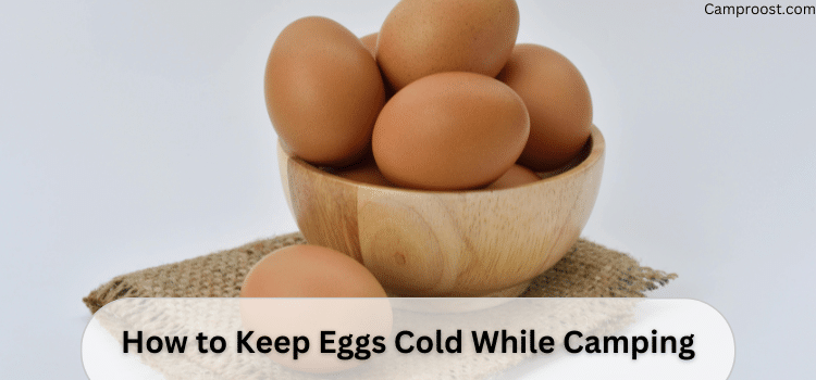 How to Keep Eggs Cold While Camping